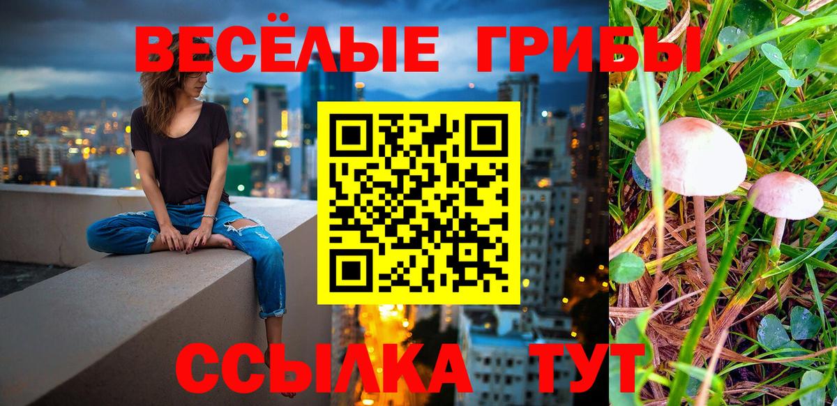 Псилоцибиновые грибы Cubensis Нефтеюганск